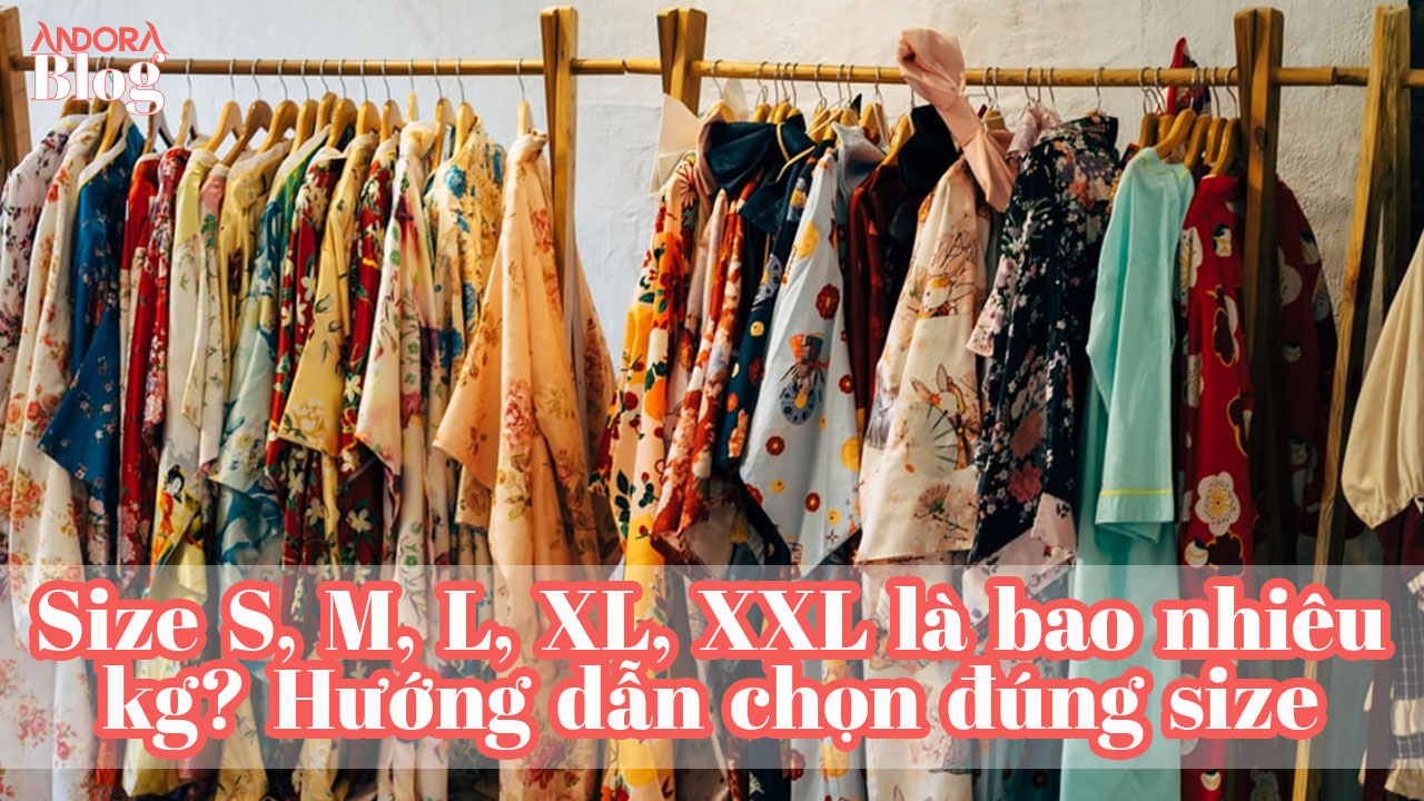 Size S, M, L, XL, XXL là bao nhiêu kg? Hướng dẫn chọn đúng size